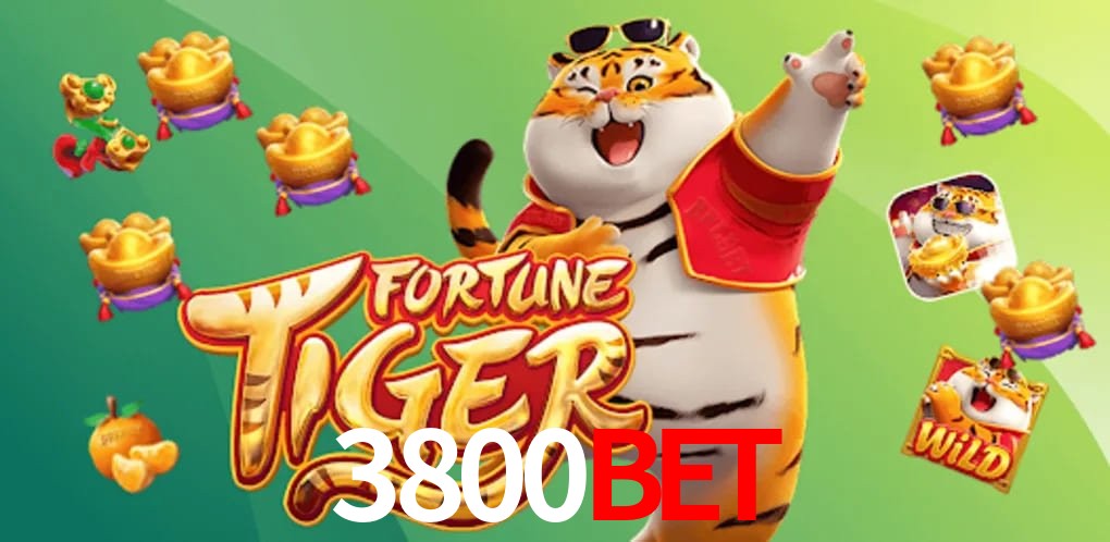 Experiência VIP 3800bet