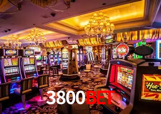 A Experiência Imersiva dos Cassinos Ao Vivo no 3800bet